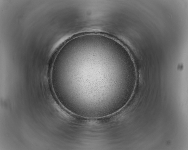 X0000091961452200709201333