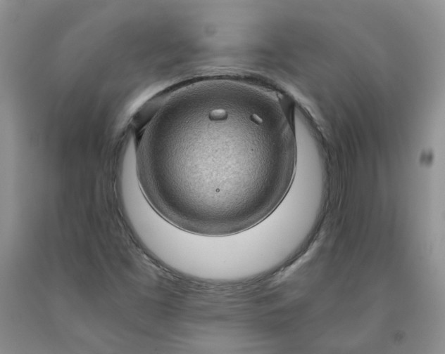 X0000091961453200709201333