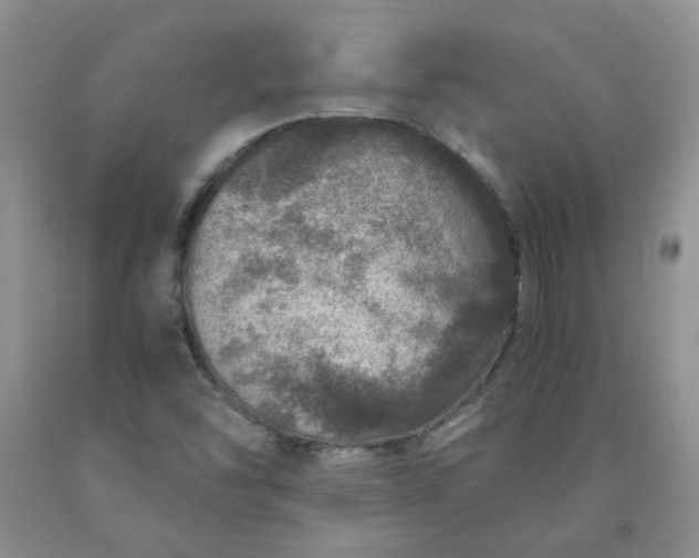 X0000091961454200709201333