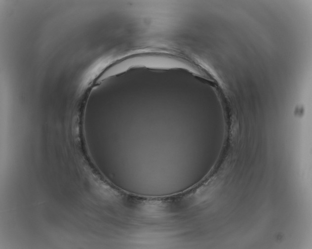 X0000091961455200709201333