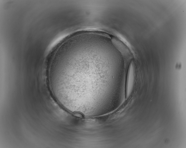 X0000091961456200709201333