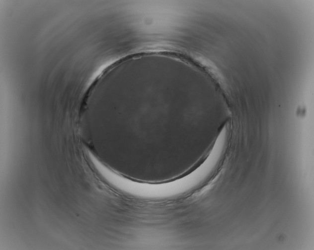 X0000091961457200709201333