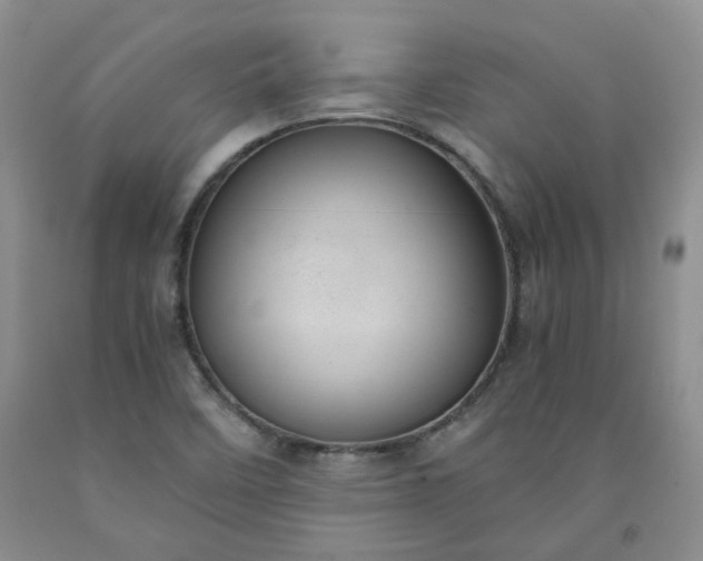 X0000091961458200709201333