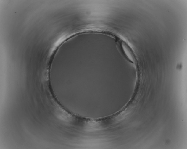 X0000091961459200709201333