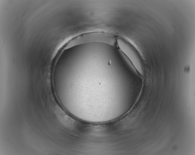 X0000091961460200709201333