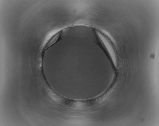 X0000091961461200709201333