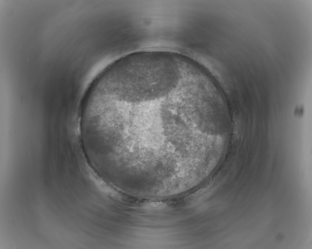 X0000091961462200709201333