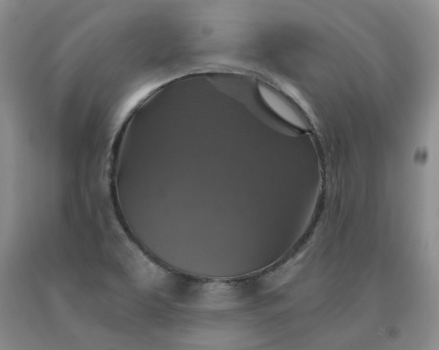 X0000091961463200709201333