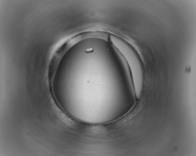 X0000091961464200709201333