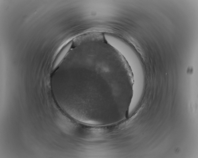 X0000091961465200709201333