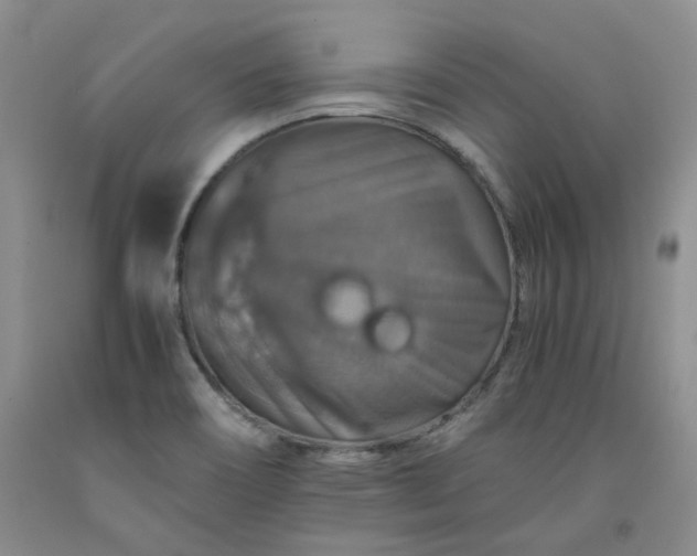 X0000091961466200709201333