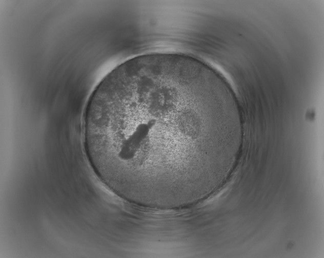 X0000091961467200709201333