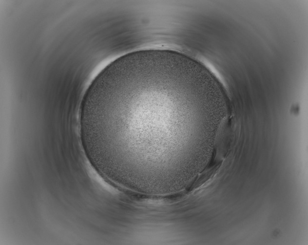 X0000091961468200709201333