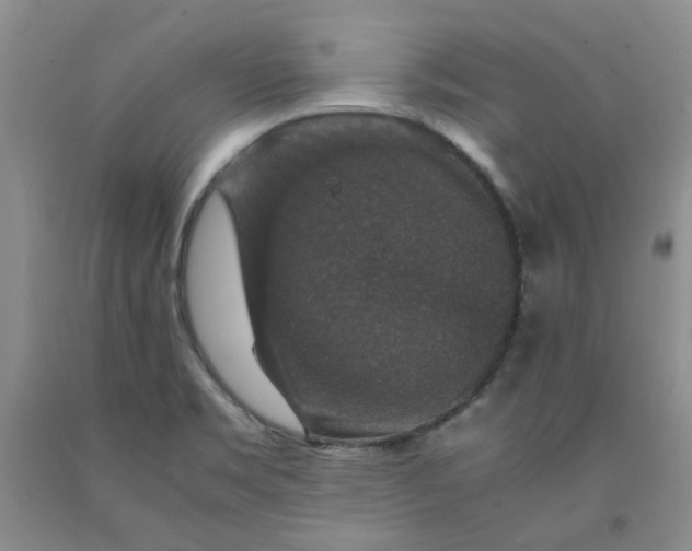 X0000091961469200709201333