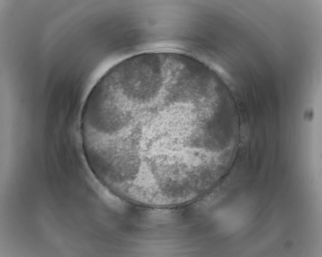 X0000091961470200709201333