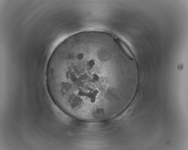 X0000091961471200709201333