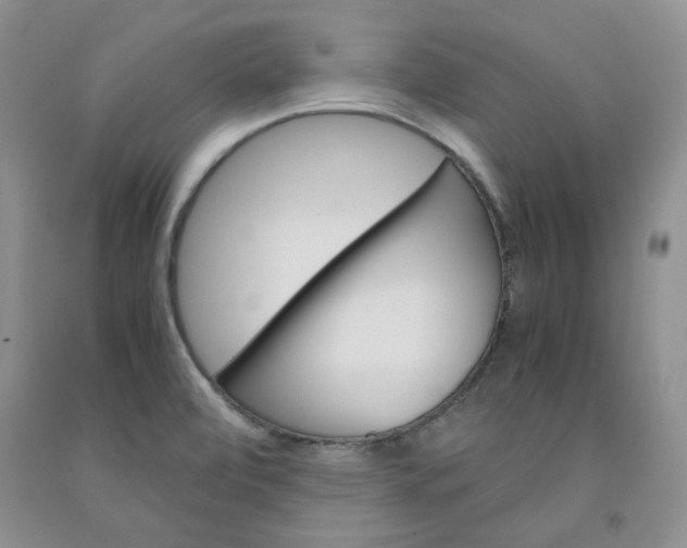 X0000091961472200709201333