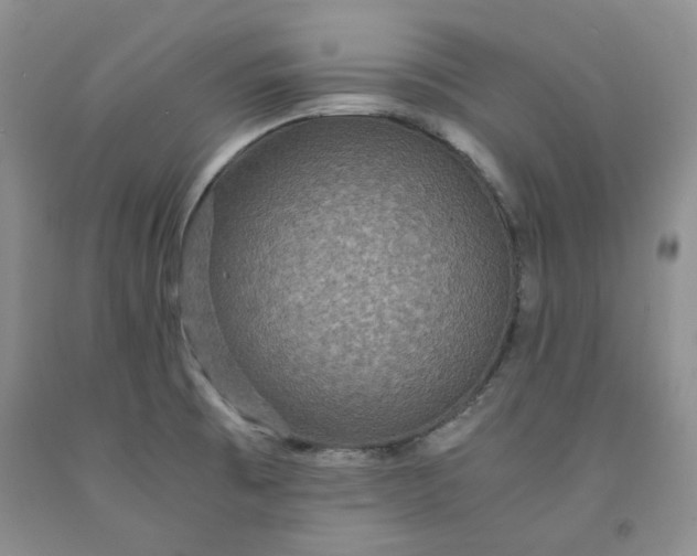 X0000091961473200709201333