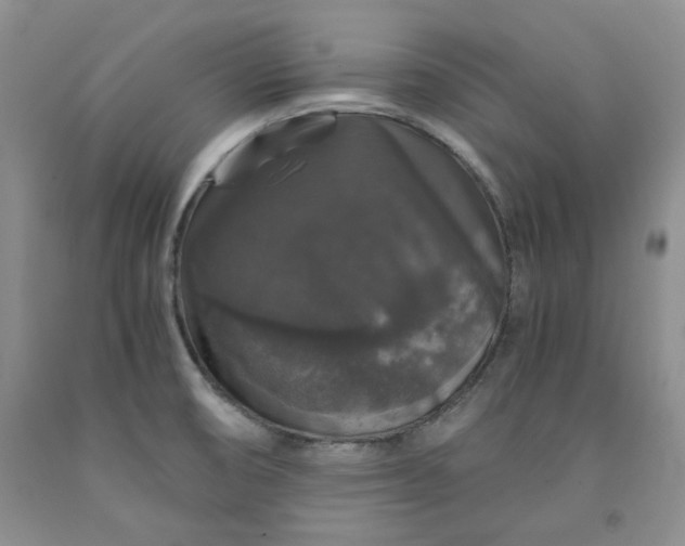 X0000091961474200709201333