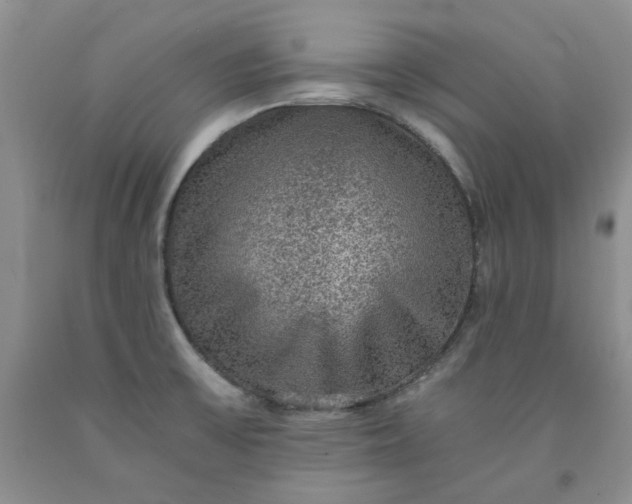 X0000091961475200709201333