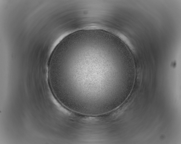 X0000091961476200709201333