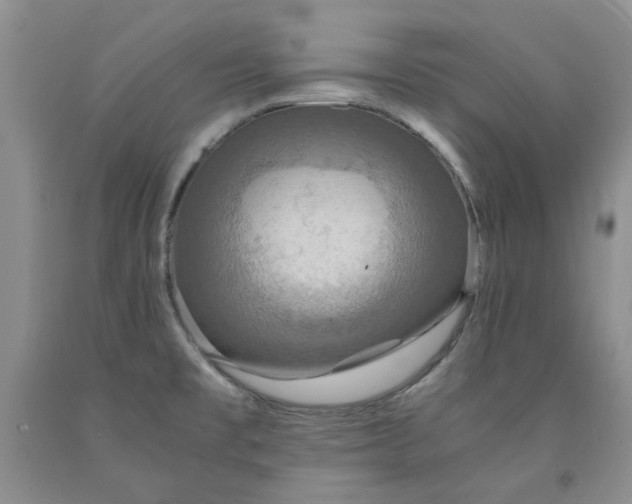 X0000091961477200709201333