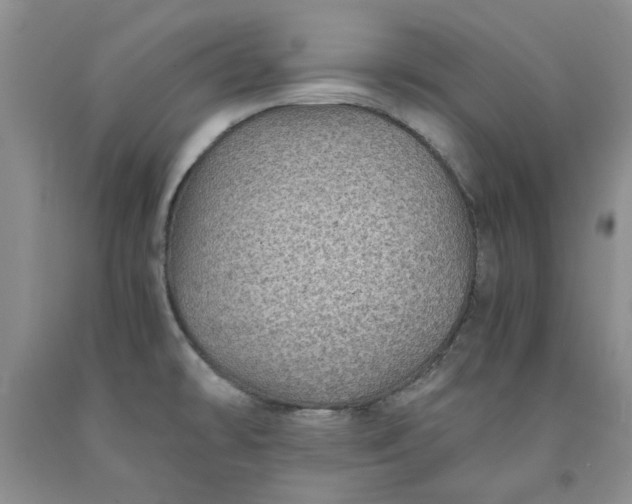 X0000091961478200709201333