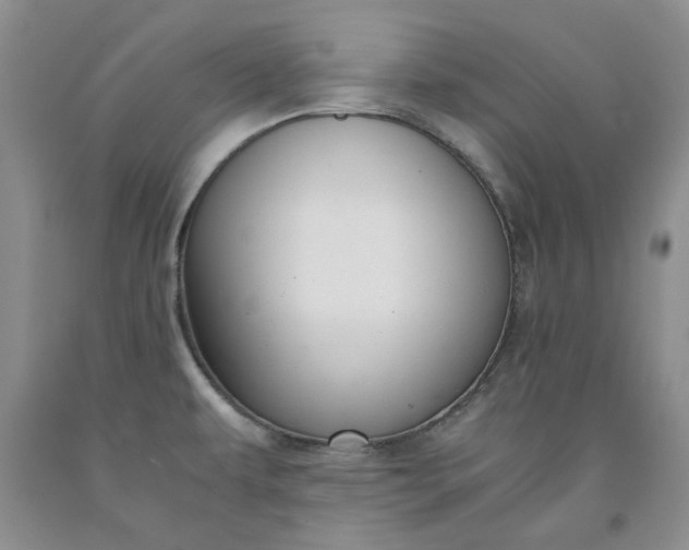 X0000091961479200709201333