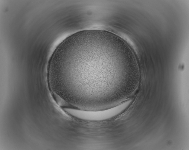 X0000091961480200709201333