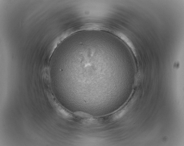 X0000091961481200709201333