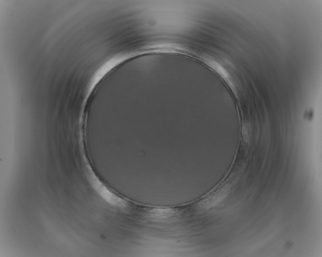 X0000091961482200709201333