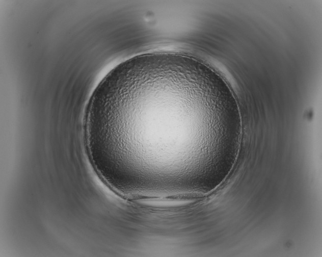 X0000091961483200709201333