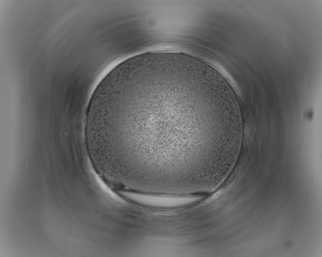 X0000091961484200709201333