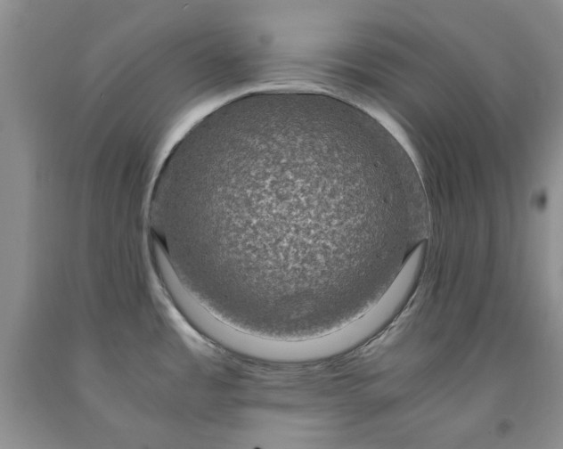 X0000091961485200709201333