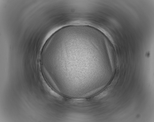 X0000091961486200709201333