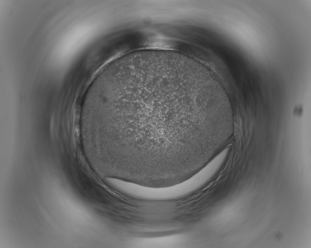 X0000091961487200709201333