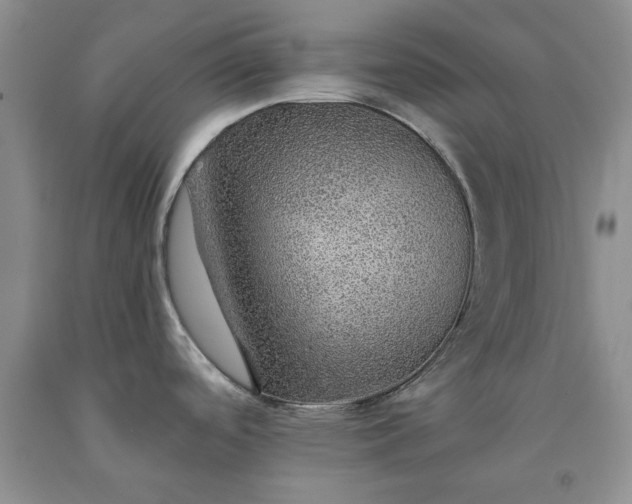 X0000091961488200709201333