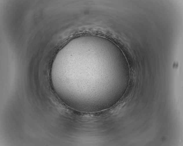 X0000091961489200709201332