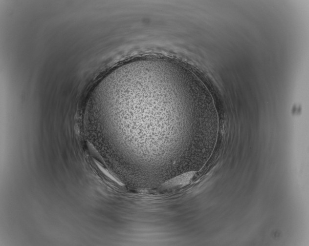 X0000091961490200709201332