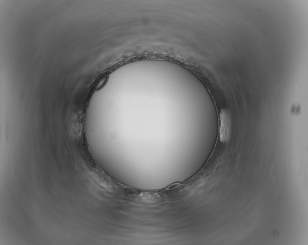 X0000091961491200709201332