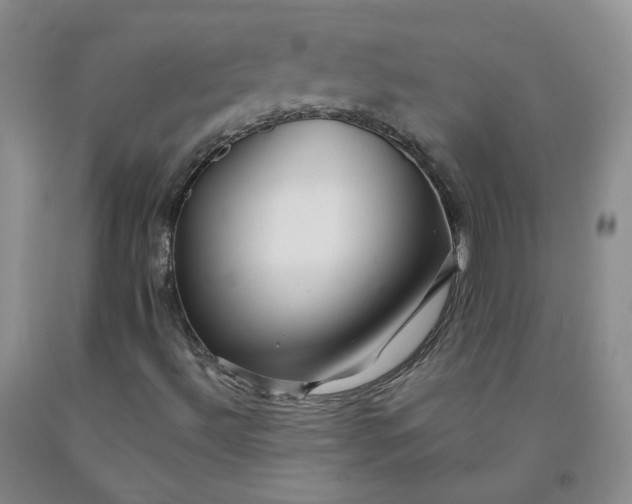 X0000091961492200709201332