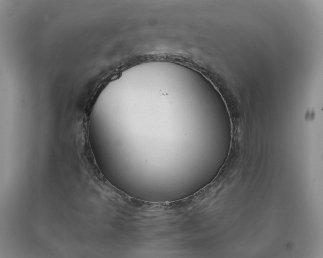 X0000091961493200709201332