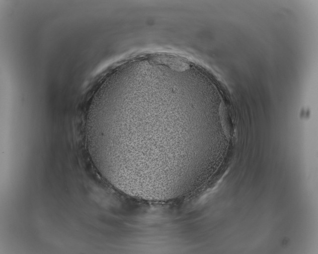 X0000091961494200709201332