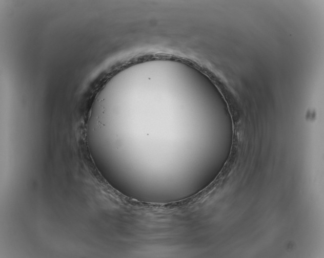 X0000091961495200709201332