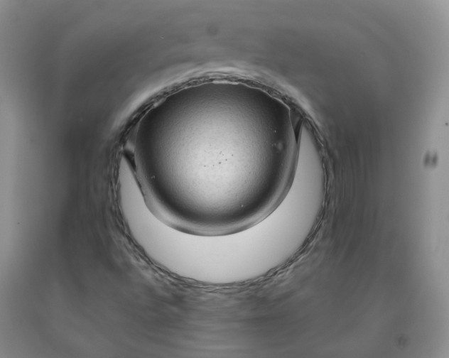 X0000091961496200709201332