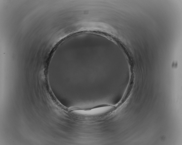 X0000091961497200709201333