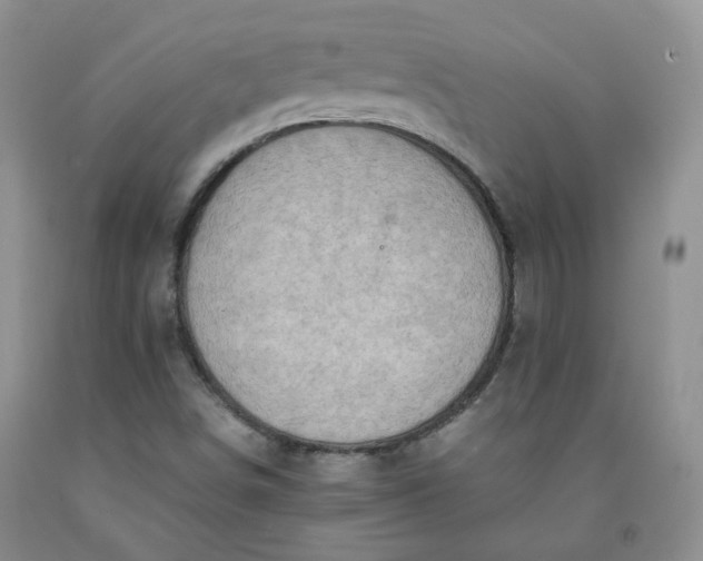 X0000091961498200709201333