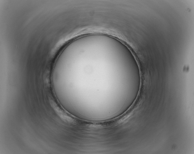 X0000091961499200709201333