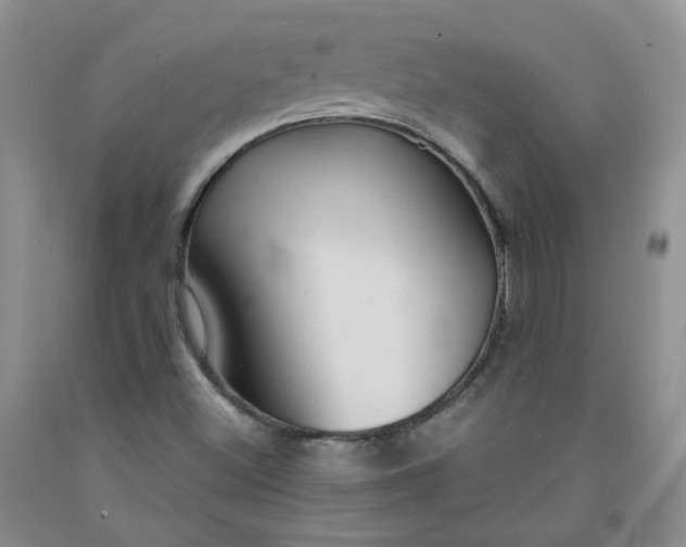 X0000091961500200709201333