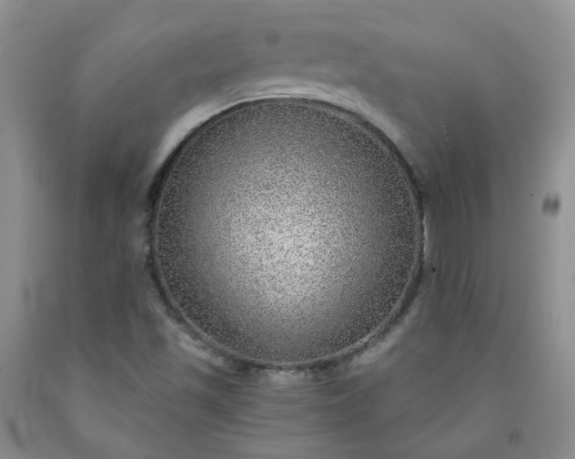 X0000091961501200709201333